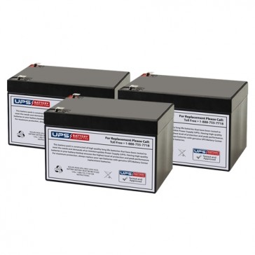 Razor RSF650 36V 12Ah Battery Set