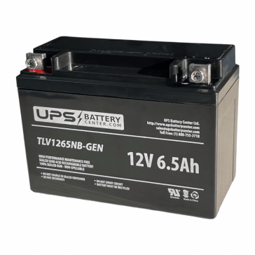 WEN 12000 Watt DF1200X  Dual Fuel Generator Compatible Replacement Battery