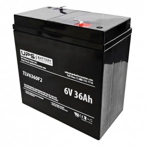 Dantona 6V 36Ah LEAD-6-36B-PS Battery with F2 Terminals
