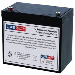 Telong 12V 55Ah TL12550D Replacement Battery with F11 Terminals