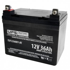 Tianchang 12V 36Ah TC12-36 Replacement Battery with NB Terminals