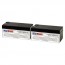 Cardinal Health Gemini PC-4 Compatible Battery Set