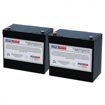 Daymak Rickshaw King 950W 24V 55Ah Battery Set