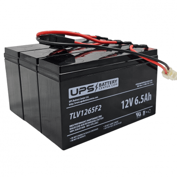 Razor W13114510003 Compatible Battery Set for EcoSmart SUP, EcoSmart HD